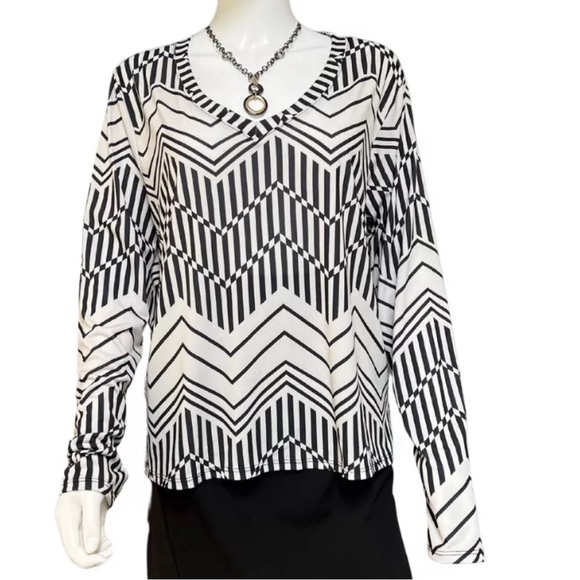 NWOT The Zig Zag Stripe Women’s Geometric Chevron Print Top Size Large Leng… - Picture 1 of 8